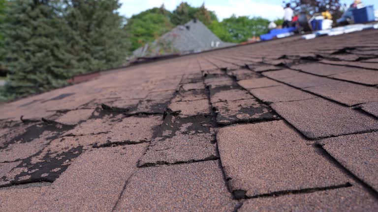 Best Roof Moss and Algae Removal  in Blair, WI