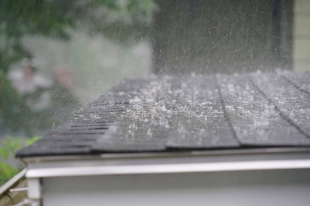 Best Roof Waterproofing  in Blair, WI